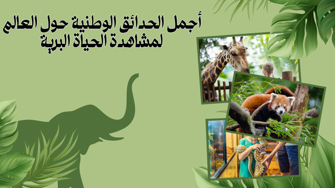 Read more about the article أجمل الحدائق الوطنية حول العالم لمشاهدة الحياة البرية