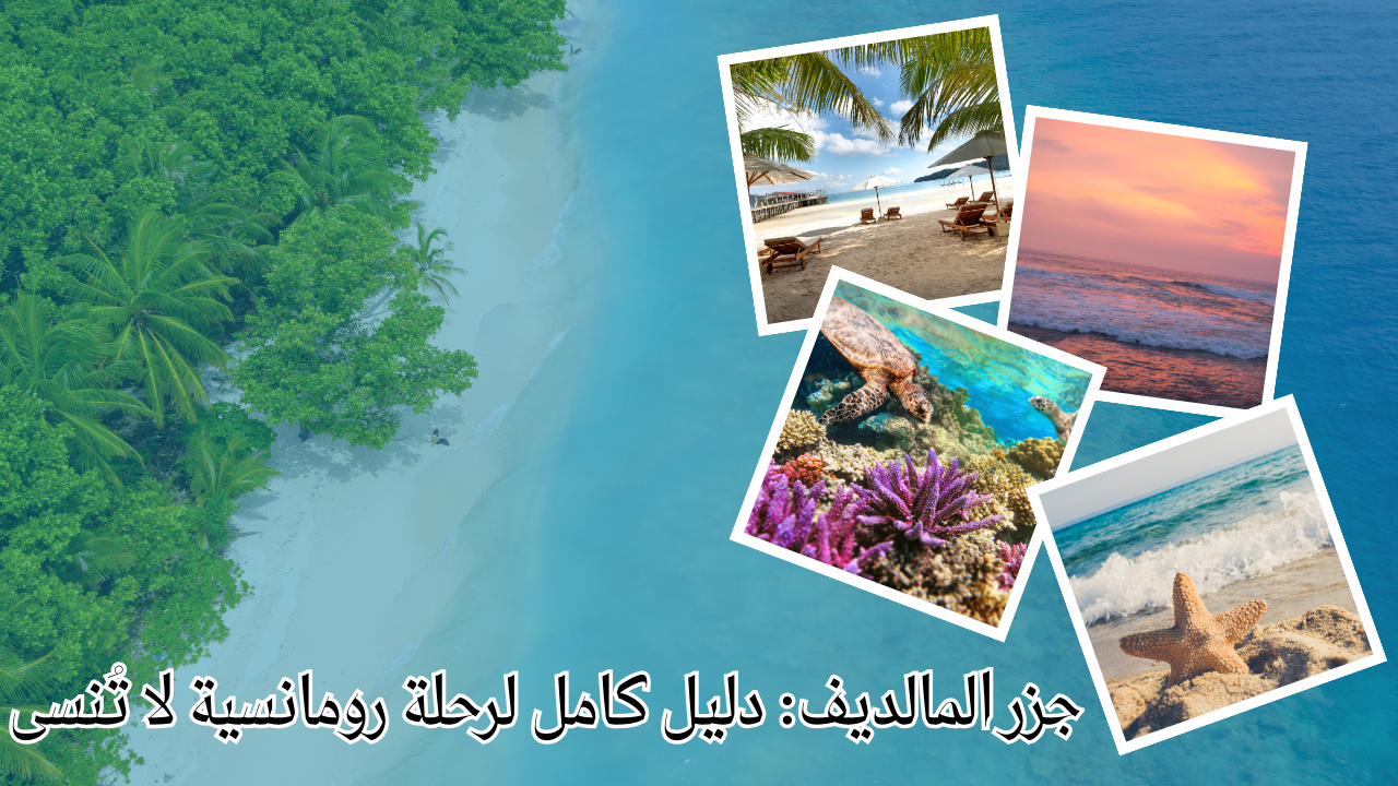 Read more about the article جزر المالديف: دليل كامل لرحلة رومانسية لا تُنسى